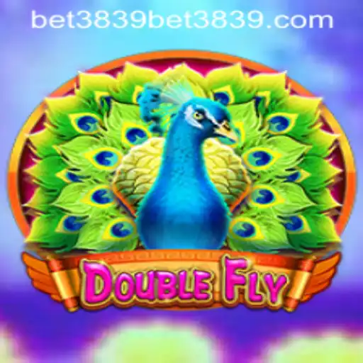 Exploring DoubleFly: A New Gaming Experience